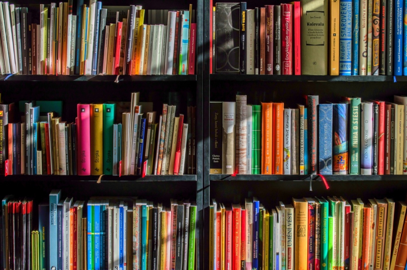 vitrine-CONTES-min_books_bookstore_book_reading_shop_writer_sale_books_read-822866