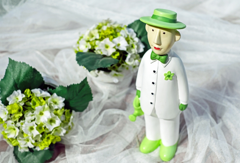 vitrine-CONTES-min_man-person-flower-green-toy-fig-546529-pxhere.com